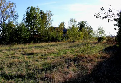 Grundstück zum Kauf in 2721 Wiener Neustadt Land