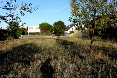 Grundstück kaufen in Wiener Neustadt Land – 900 m², € 350.000 – Bild 5 von 9