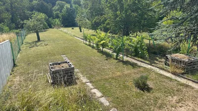 6-Zimmer-Haus mieten in Bruck an der Leitha – 110 m², € 1.550 – Bild 7 von 19