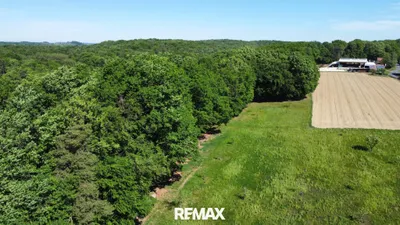 Grundstück kaufen in Südoststeiermark – 23 105 m², € 169.000 – Bild 10 von 17