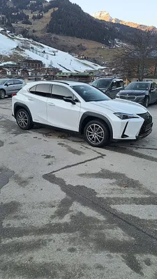 Lexus UX 250h Style+ Edition 1,4kWh Aut.