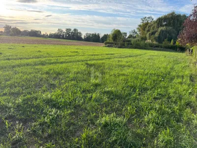 Grundstück kaufen in Wels-Land – 1 100 m², € 412.500 – Bild 2 von 3