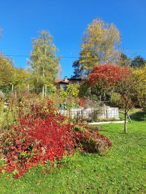 Haus kaufen in Freistadt – 193,7 m², € 595.000 – Bild 23 von 38