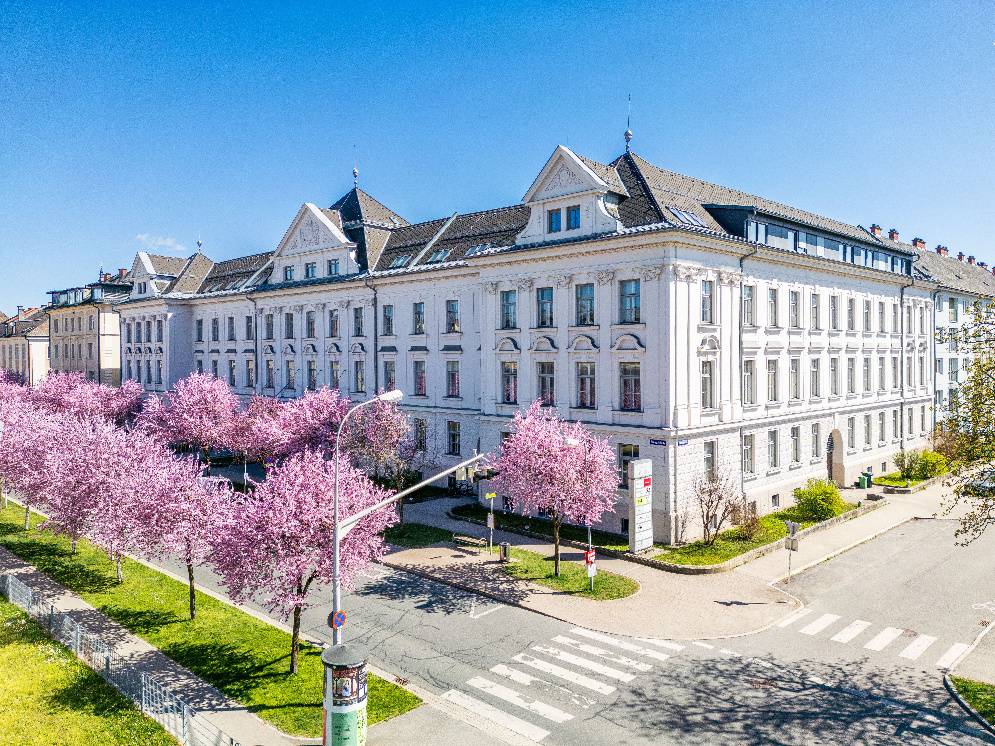Exklusive Büro-/ Ordinationsfläche (420 m²) – pohled 2