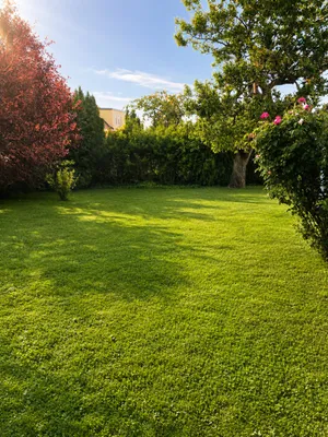 Grundstück kaufen in Baden – 475 m², € 229.000 – Bild 1 von 8