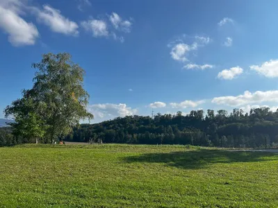 Grundstück kaufen in Steyr-Land – 723 m², € 109.400