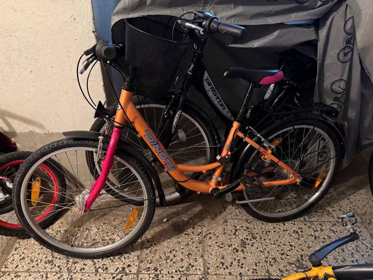 trek damen e bike 28" Damen E-Bike Trekking Fahrrad LUMINA GX3 BOSCH ACTIVE PLUS LINE 50