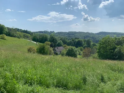Grundstück kaufen in Hartberg-Fürstenfeld – 24 263 m², € 3 – Bild 2 von 2