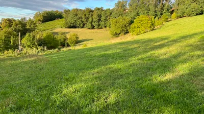 Grundstück kaufen in Hartberg-Fürstenfeld – 24 263 m², € 3