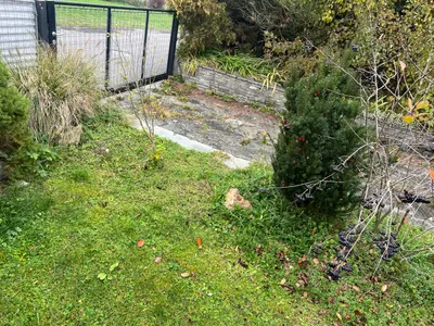 Haus mieten in Grieskirchen – 240 m², € 900 – Bild 24 von 26