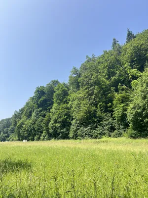 Grundstück kaufen in Graz – 1 800 m², € 227.000 – Bild 2 von 3