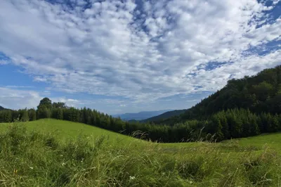 Grundstück kaufen in Graz – 1 800 m², € 227.000