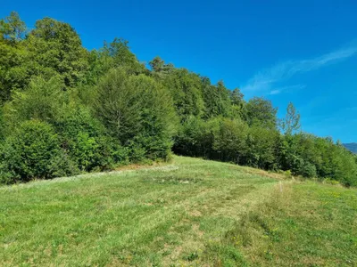 Grundstück kaufen in Graz-Umgebung – 690 m², € 142.900 – Bild 3 von 25