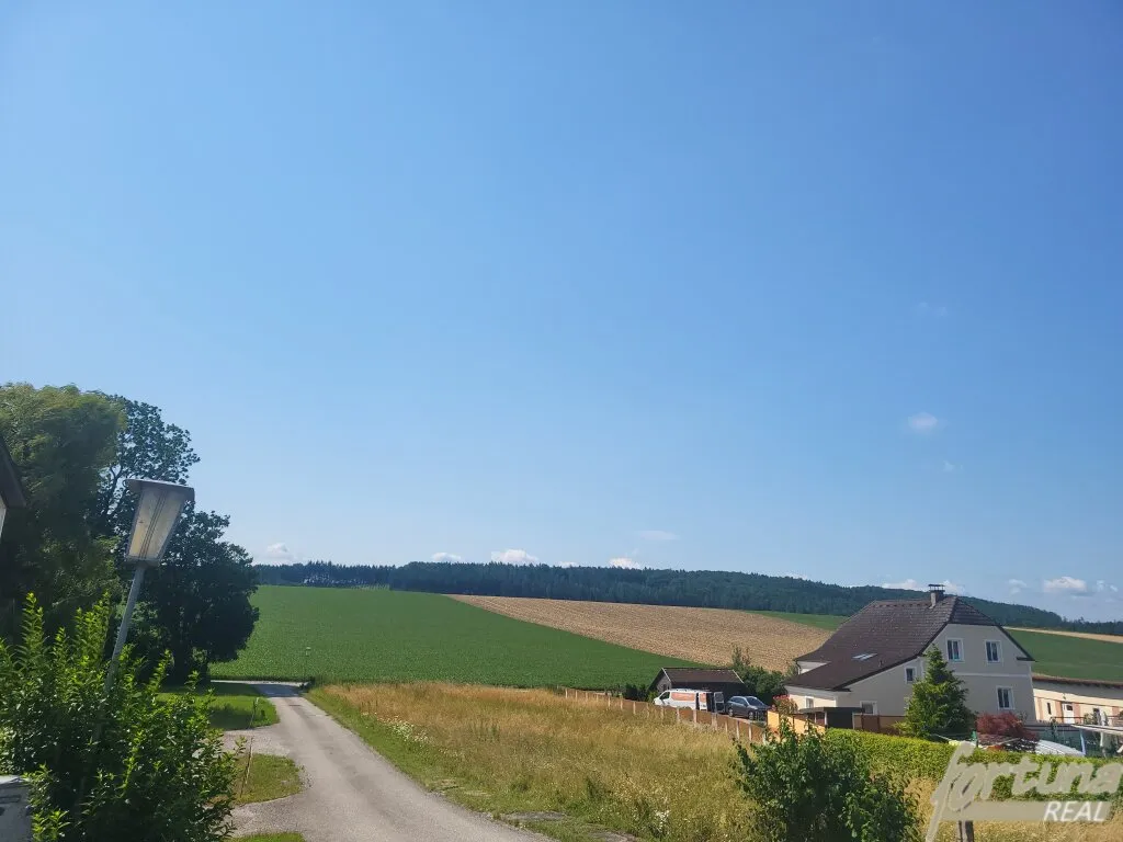 NEUBAU ***** KOFFER packen und einziehen! Schlüsselfertig****** - Ansicht 3