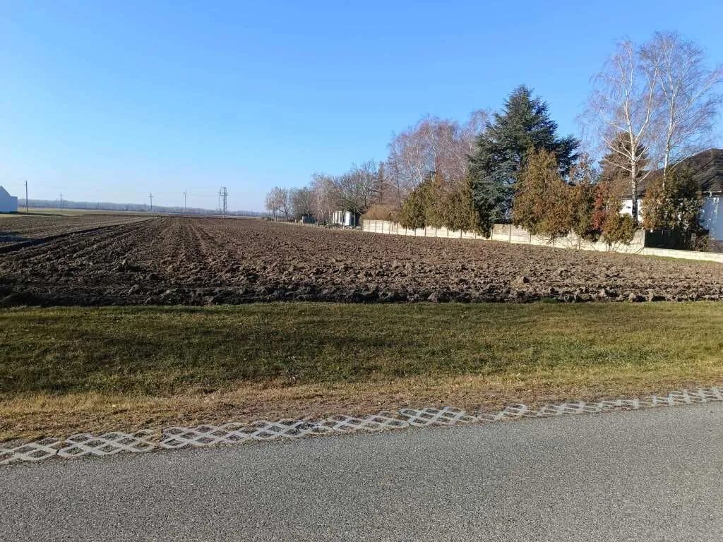 2422 Pama - Gelegenheit - schönes Baugrundstück - View 3
