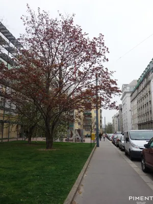2-Zimmer-Wohnung mieten in Wien – 81,46 m², € 1.590 – Bild 9 von 11