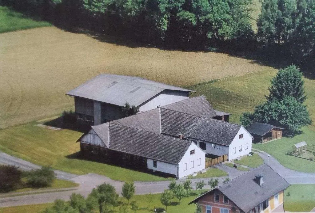 Lebensmittelpunkt Südburgenland - 3-Kanthof mit großen Nebengebäuden und ca. 4.918 m² Bauland - Ansicht 3
