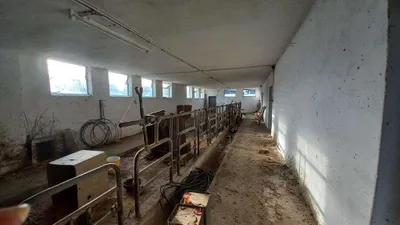 4-Zimmer-Immobilie kaufen in Jennersdorf – 120 m², € 249.000 – Bild 33 von 39