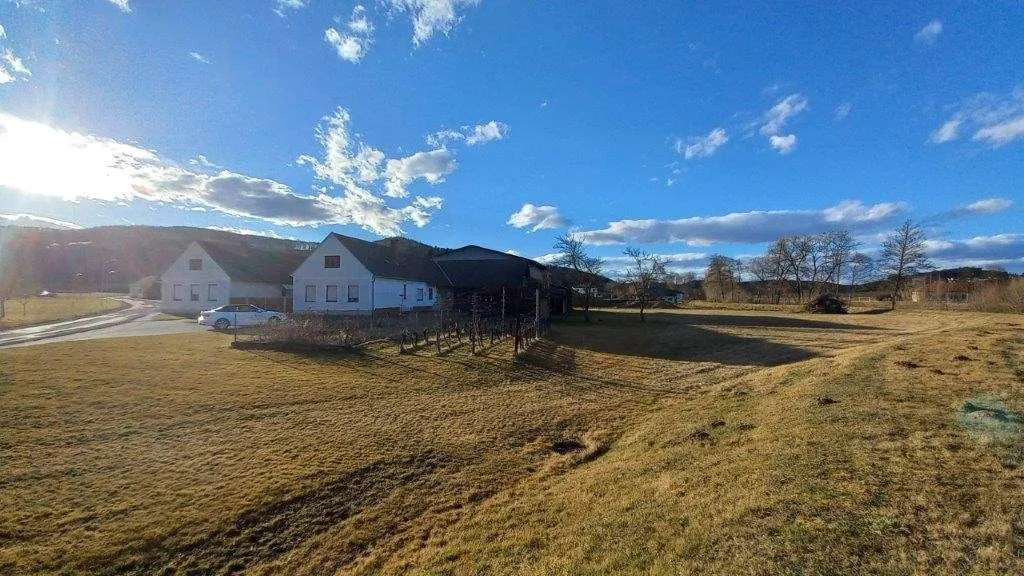 Lebensmittelpunkt Südburgenland - 3-Kanthof mit großen Nebengebäuden und ca. 4.918 m² Bauland - Ansicht 2