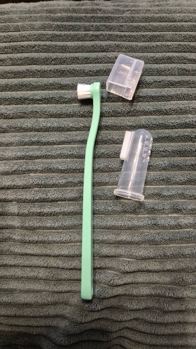 Zahnbürsten Set für Katzen