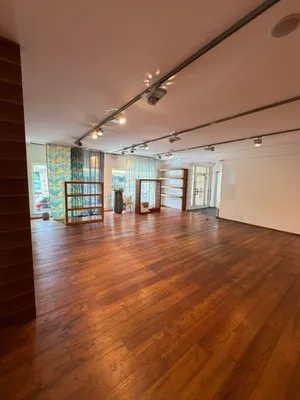 1-Zimmer-Gewerbeimmobilie mieten in Vöcklabruck – 102 m², € 800 – Bild 5 von 7