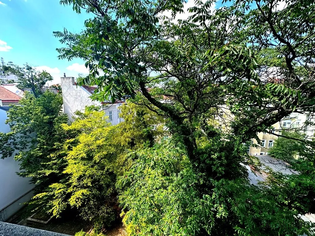 *Hofruhelage beim Belvedere* – pohled 2