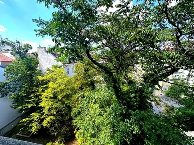*Hofruhelage beim Belvedere*