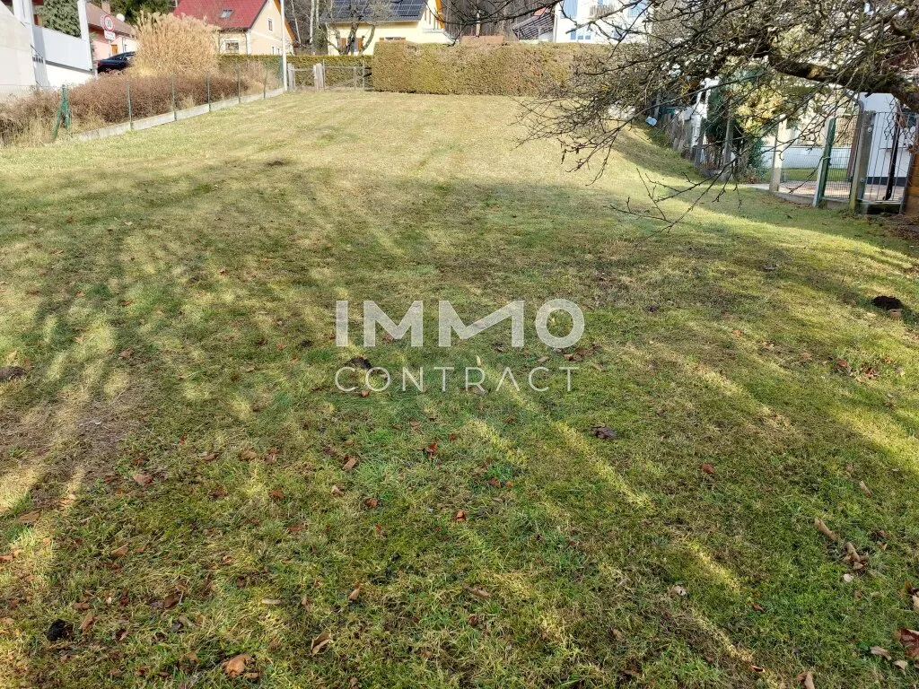 SCHÖNER BAUGRUND IN RAGNITZ DICHTE 0,6 MIT ALTBESTAND NAHE LKH - Ansicht 2