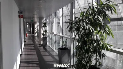 Gewerbeimmobilie mieten in Klagenfurt – 1 000 m² – Bild 17 von 17