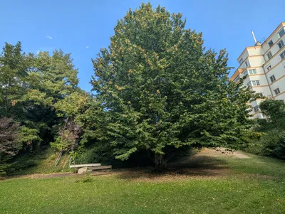 2-Zimmer-Wohnung mieten in Wien – 56 m², € 1.000 – Bild 9 von 19