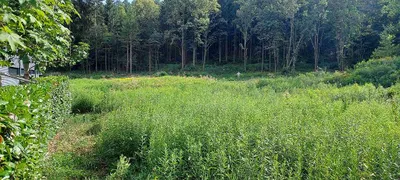 Immobilie mieten in Oberwart – 4 531 m², € 1.800 – Bild 5 von 5