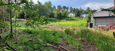 Immobilie mieten in Oberwart – 4 531 m², € 1.800 – Bild 2 von 5
