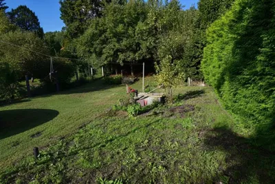 5-Zimmer-Haus kaufen in Wiener Neustadt Land – 137,55 m², € 189.000 – Bild 3 von 14