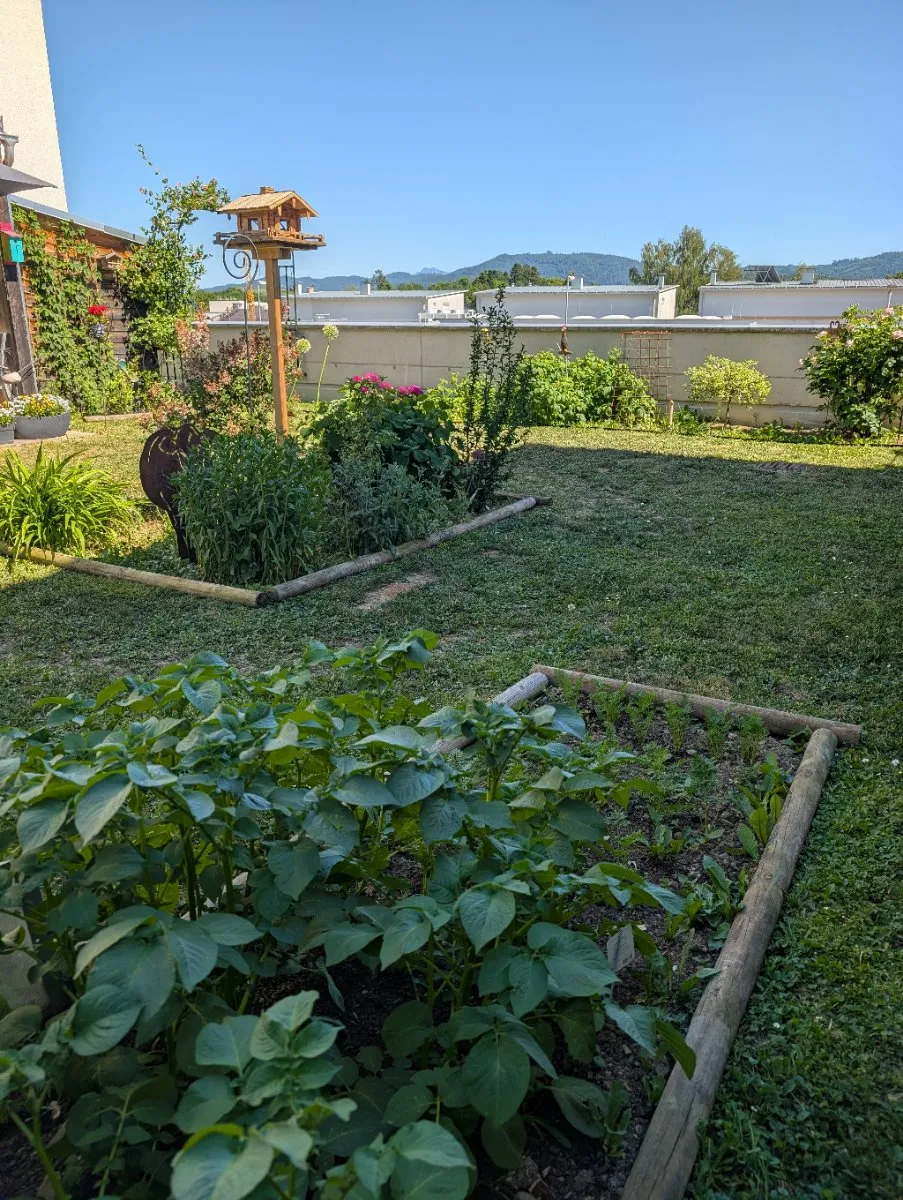 Wohnung im Herzen von Seewalchen am Attersee - Ansicht 2