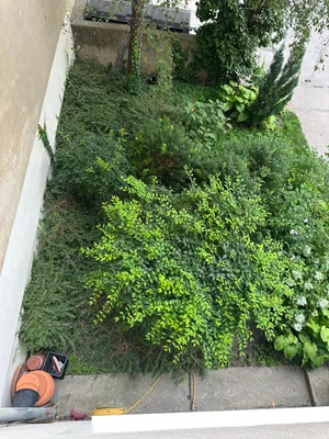 1-Zimmer-Wohnung mieten in Wien – 35 m², € 850 – Bild 25 von 27