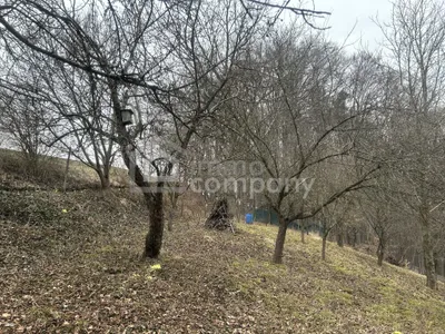 3-Zimmer-Immobilie kaufen in Südoststeiermark – 55 m², € 115.000 – Bild 5 von 11