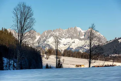 7-Zimmer-Immobilie kaufen in Kitzbühel – 1 010 m² – Bild 11 von 13