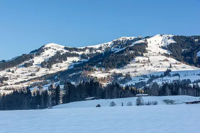 7-Zimmer-Immobilie kaufen in Kitzbühel – 1 010 m² – Bild 13 von 13