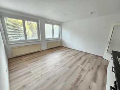 1-Zimmer-Wohnung mieten in Bruck-Mürzzuschlag – 28,08 m², € 314 – Bild 4 von 10