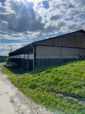 Immobilie mieten in Schärding – 800 m², € 1.300 – Bild 4 von 5