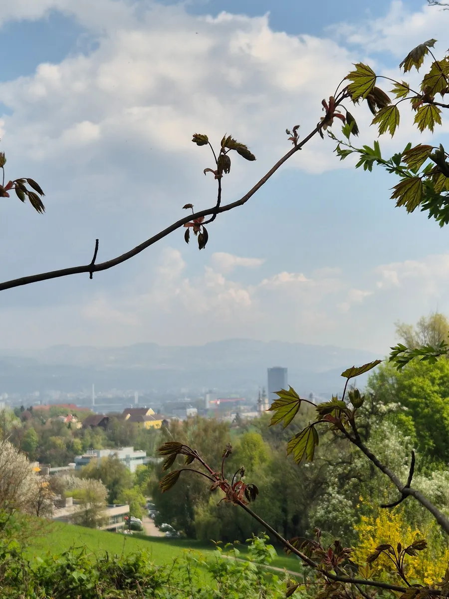 Apartment in Linz, Freinberg, Froschberg - View 2