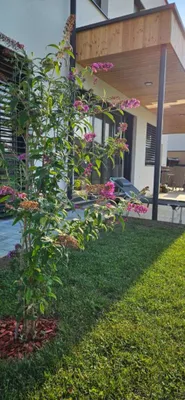 5-Zimmer-Haus kaufen in Hartberg-Fürstenfeld – 225 m², € 595.000 – Bild 3 von 8