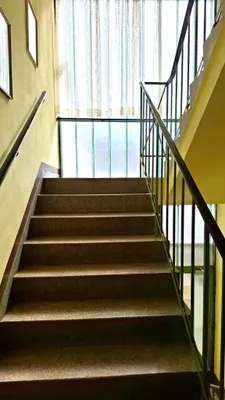 2-Zimmer-Wohnung mieten in Hollabrunn – 42,26 m², € 531 – Bild 8 von 10