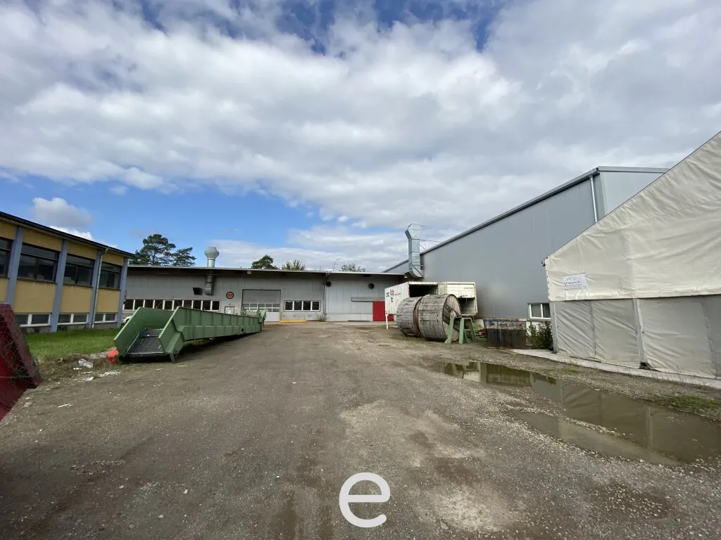 Beheizbare Lagerhalle mit rd. 7 bis 9 Meter Hallenhöhe, diversen Krananlagen, Freiflächen etc. in Asten zu vermieten! – pohled 3