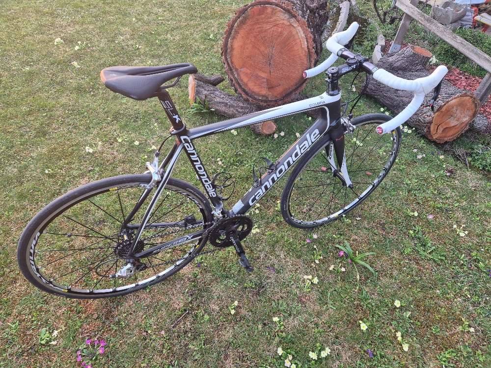 mtb gepcktrger mit schutzblech Quick-Rack
