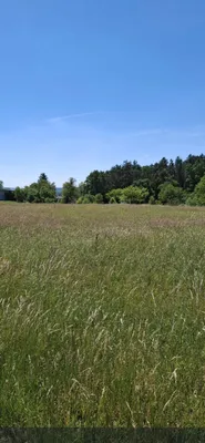 Grundstück kaufen in Güssing – 3 000 m², € 28.500