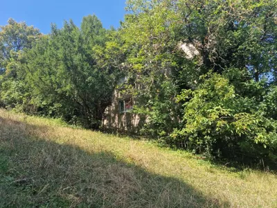 Immobilie kaufen in Wien – 600 m², € 4.900.000 – Bild 7 von 13