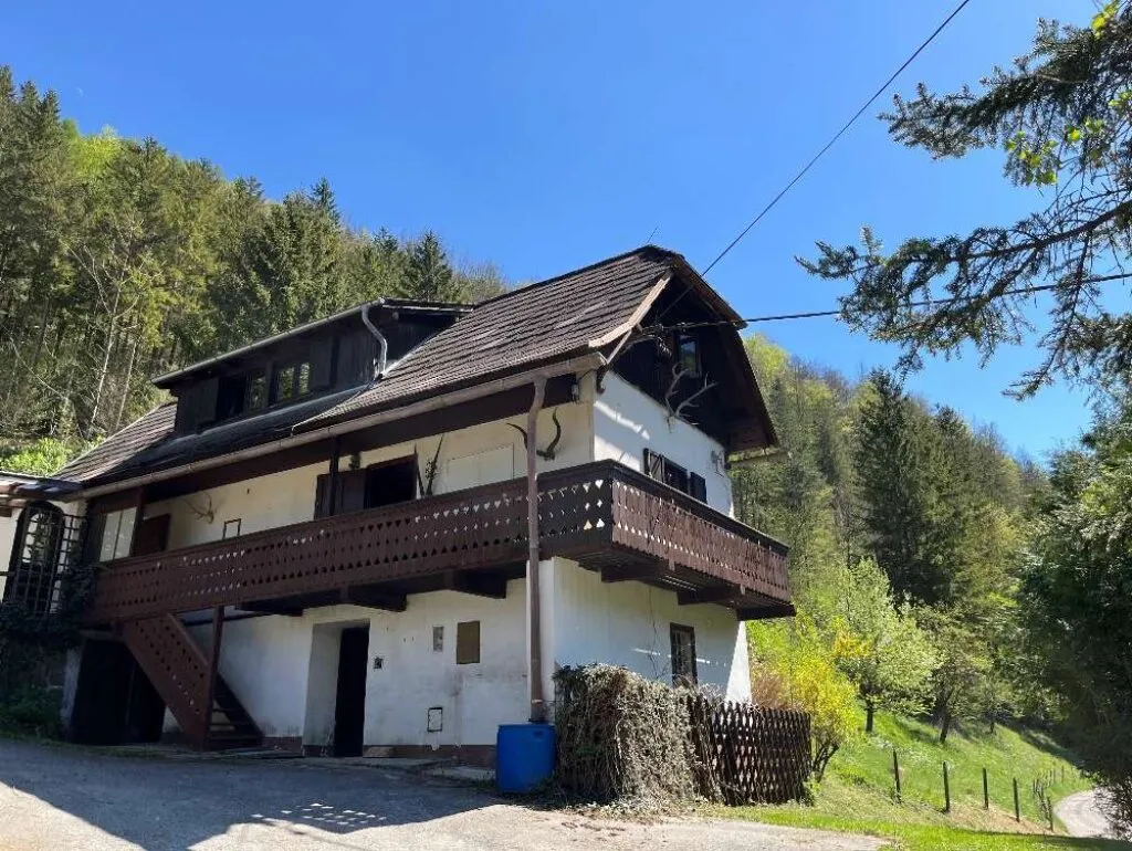 Bauernhaus mit 2,5 ha Grund in Großstübing - Ansicht 2