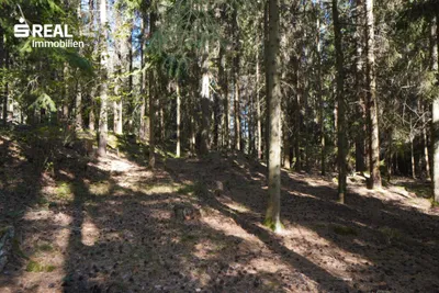 5-Zimmer-Haus kaufen in Zwettl – 88 m², € 279.000 – Bild 8 von 49