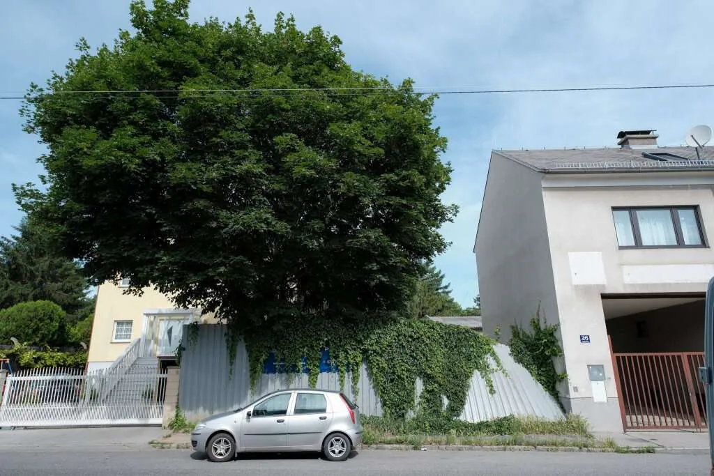 Traumhaftes Baugrundstück in 1110 Wien - 1.050EUR/m² (auf die bewilligte & gewichtete Nutzfläche) – pohled 2